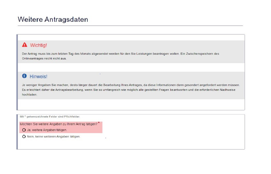 Screenshot Bürgergeldantrag online