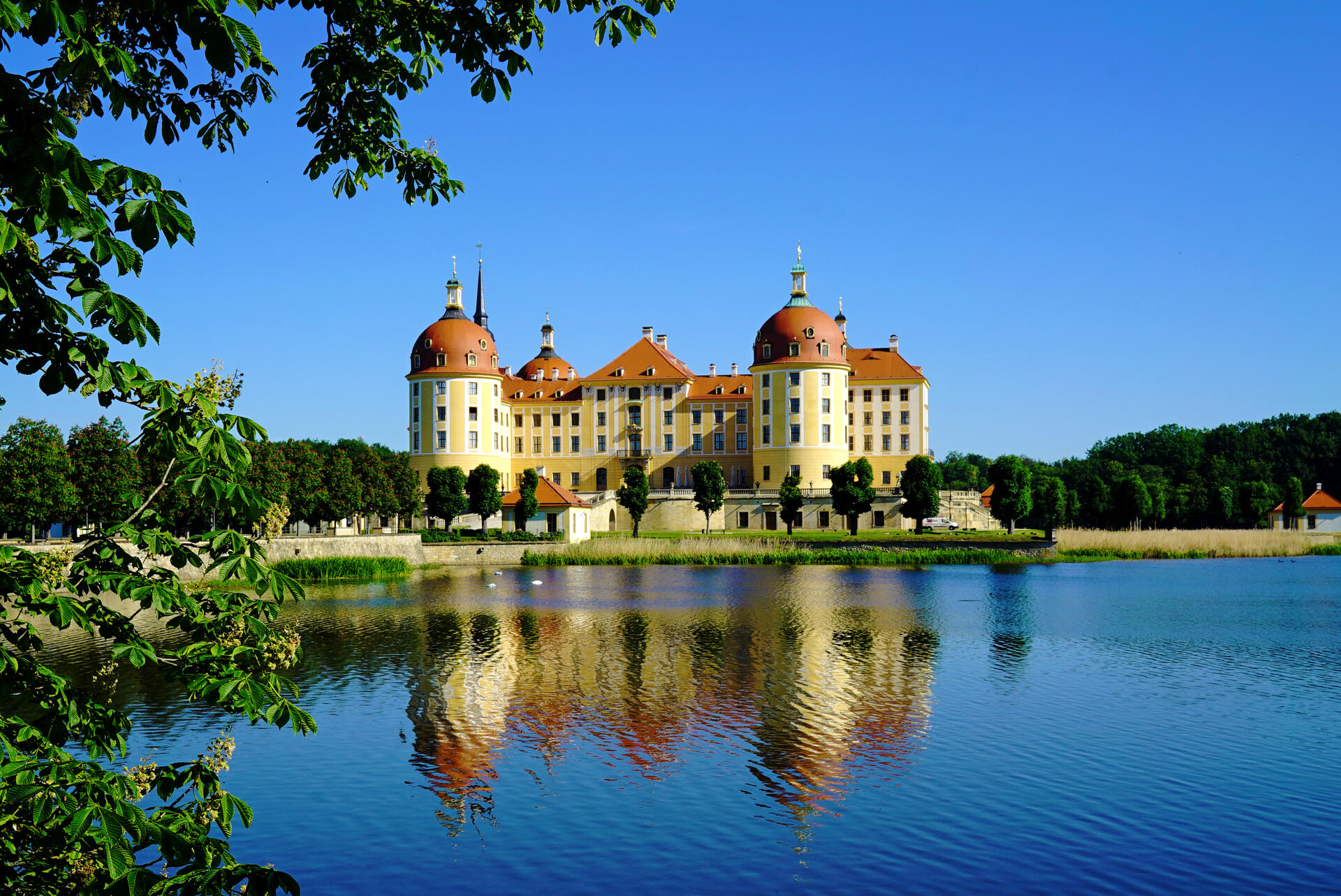 Bild vergrößern: Schloss Moritzburg spiegelt sich im Wasser.